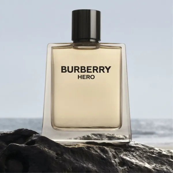 Burberry Hero EDT for Men 100ml (Premium)