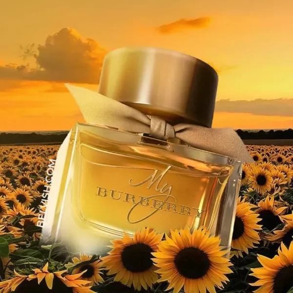 My Burberry Perfume for Women 90ml (Premium)