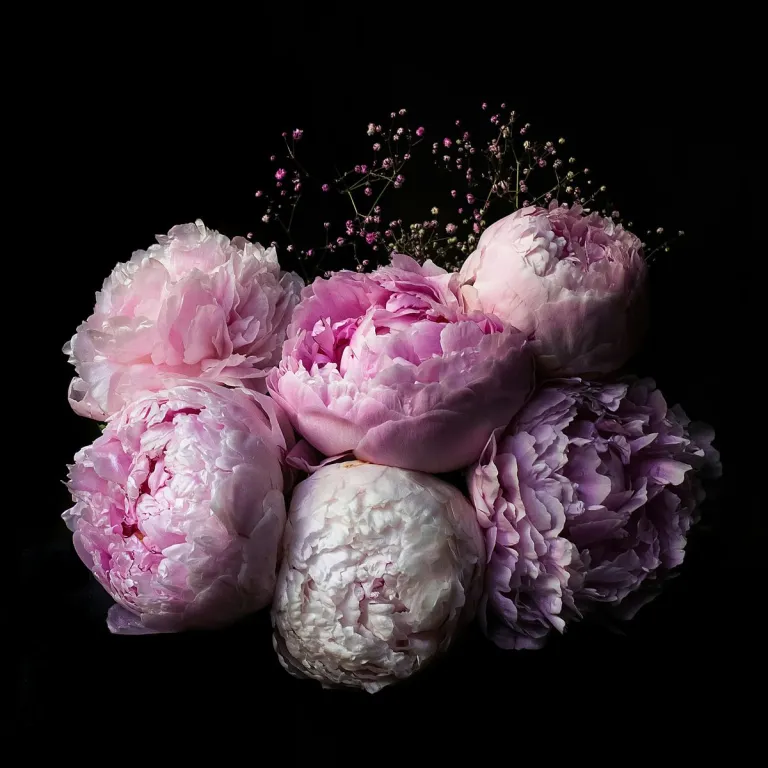 Fragrance Families Explained: Find Your Scent Style